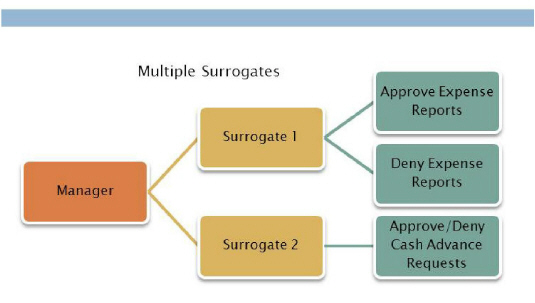 App_Admin_Surrogate_Roles_Multiple_Surrogates_diagram_CORRECTED.jpg