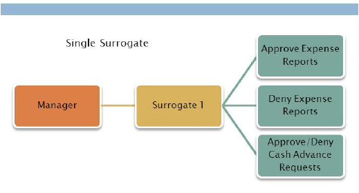 Surrogates_-_Single_Surrogate.png